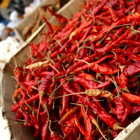 Getrocknete rote Chilis auf einem Markt, Laos