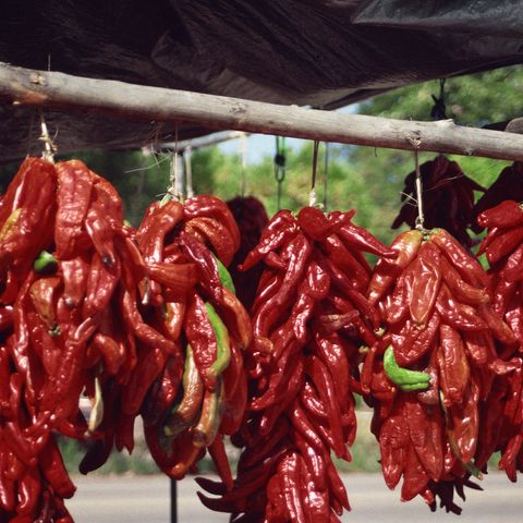 Chilis trocknen in der Sonne, Mexiko