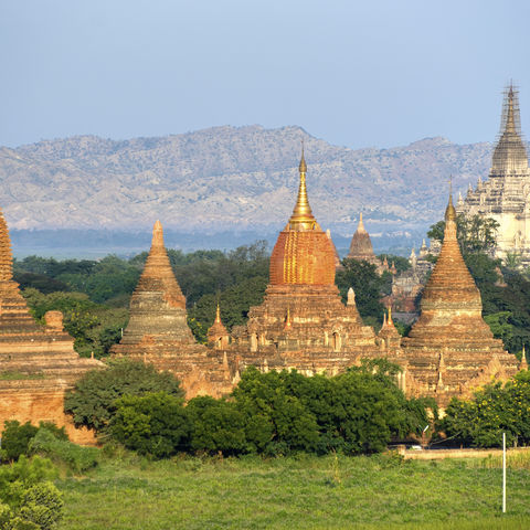 Der Gawdawpalin Tempel in Bagan, Myanmar