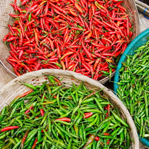 Frische grüne und rote Chilies auf einem Markt 