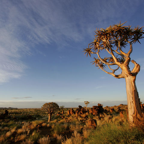 Faszinierende Wüstenlandschaft, Namibia