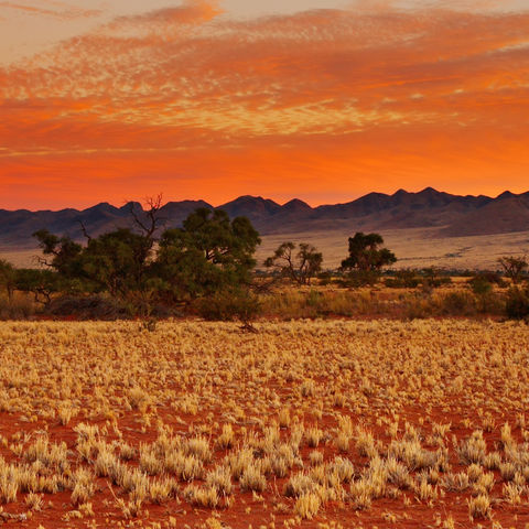 Wunderschöner Sonnenuntergang in der Kalahari, Namibia