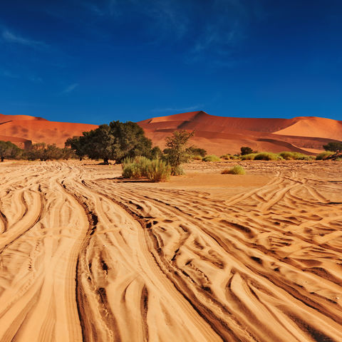 Fahrspuren in der Namib-Wüste Richtung Sossusvlei © Dmitry Pichugin, Dreamstime.com