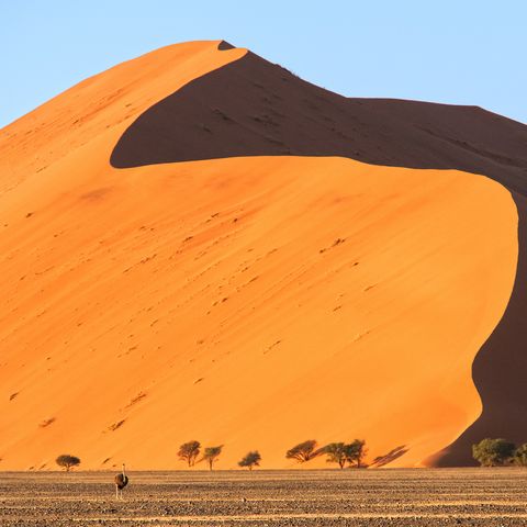 Dünen von Sossusvlei, Namibia
