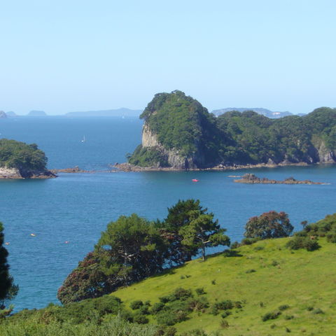 Coromandel-Halbinsel, Neuseeland