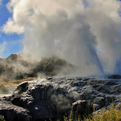 Geysir bei Rotorua, Neuseeland