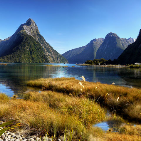 Sonniger Milford Sound, Neuseeland