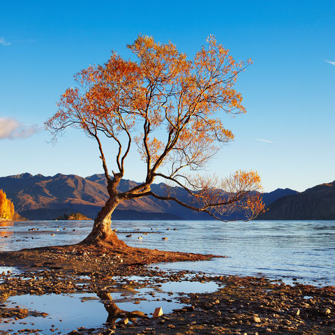 Gletschersee Wananka, Neuseeland