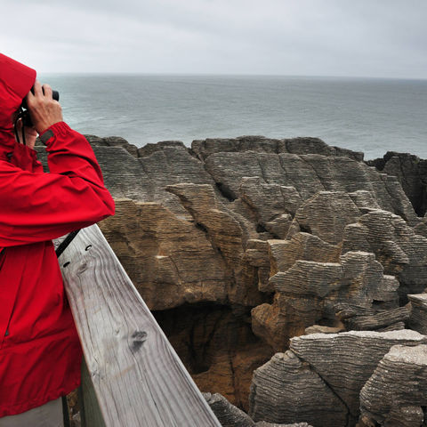 Die Pancakerocks in Punakaiki, Neuseeland