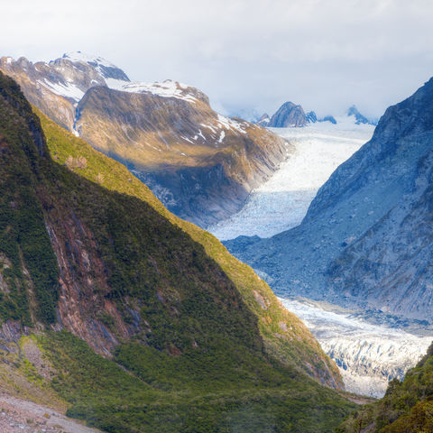 Der Fox-Gletscher in den Südalpen, Neuseeland