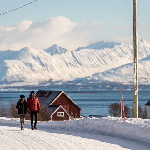 Entspannter Spaziergang (Option B), Norwegen