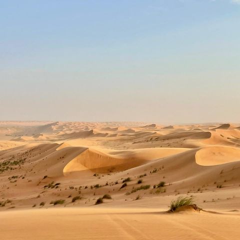 Ausblick über die Wahiba Sands, Oman