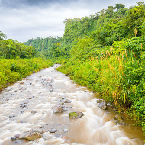 Fluss im Regenwald bei Boquete, Panama