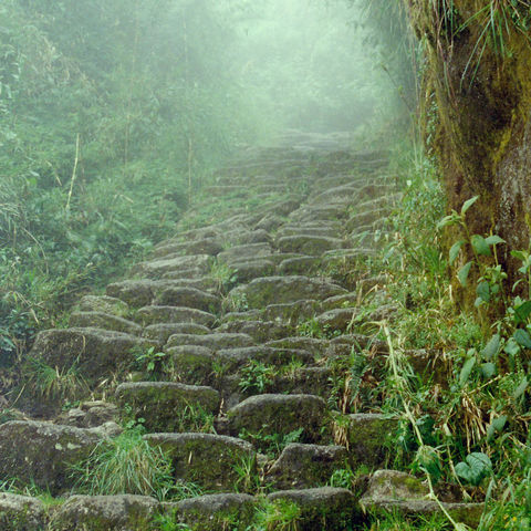 Steintreppe am Inka-Trail, Peru