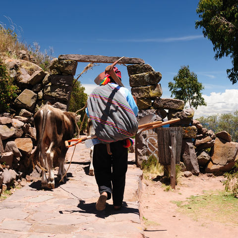 Landleben am Titicacasee, Peru