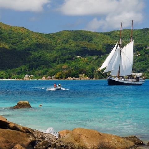 Sea Pearl in einer Bucht auf den Seychellen, Seychellen