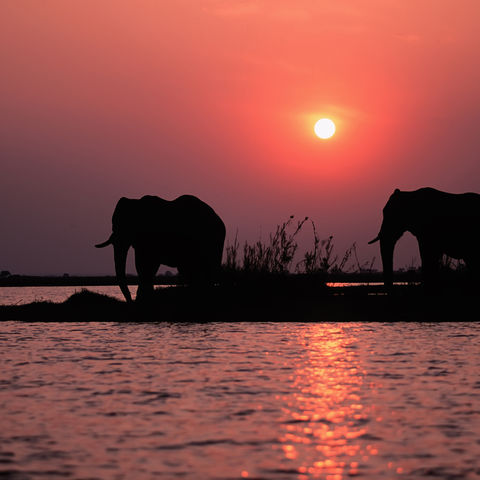 Von Kariba bis ans Kap