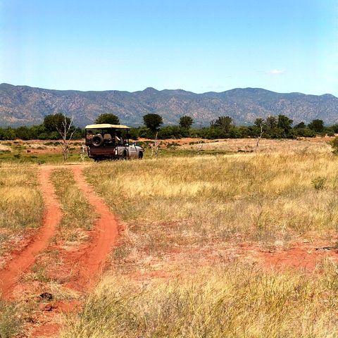 Auf Safari im Matusadona Nationalpark, 