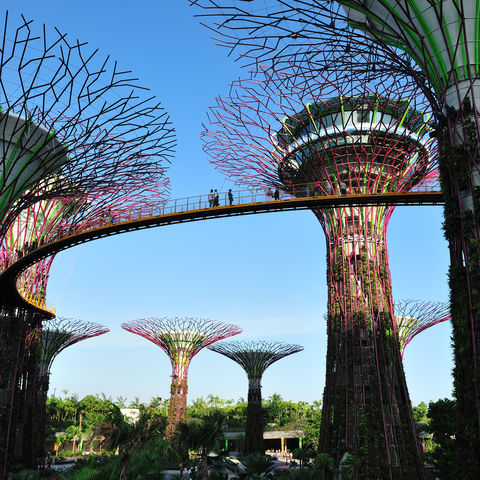 Bäume aus Stahl: Gardens by the Bay, Singapur