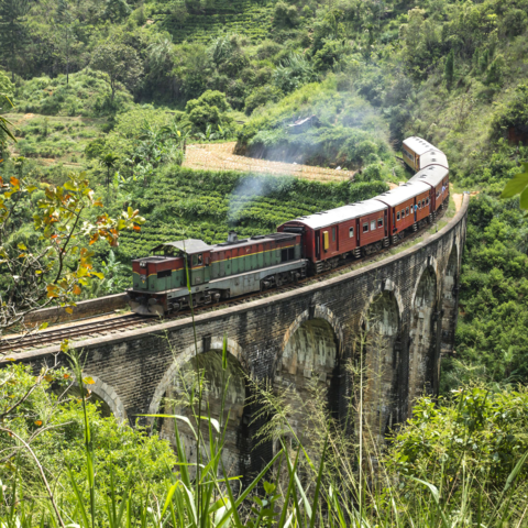 Mit dem Zug durchs Hochland nach Ella, Sri Lanka