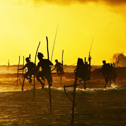 Fischer in Galle, Sri Lanka