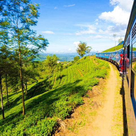 Zugfahrt vorbei an einer Teeplantage in Haputale, Sri Lanka