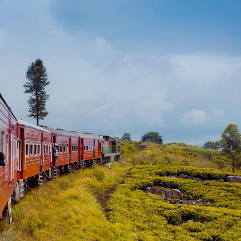 Per Zug durchs Hochland, Sri Lanka