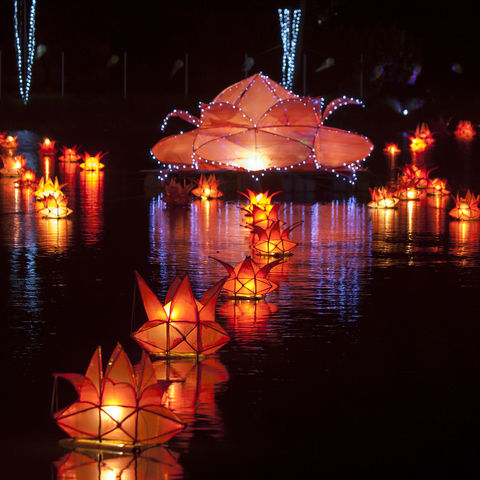 Schwimmende Laternen während des Vesakh Festes, Jaffna, Sri Lanka