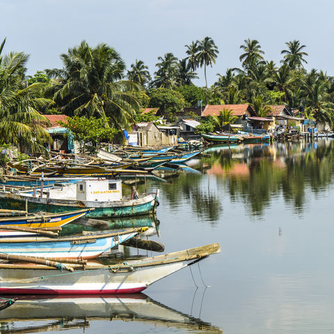 Idyllischer Küstenstreifen, Sri Lanka