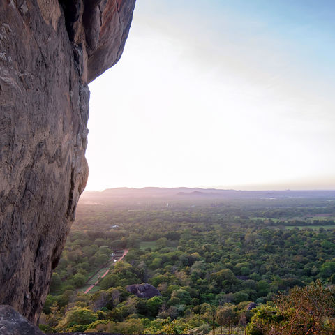 Blick über den Dschungel, Sri Lanka