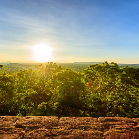 Blick auf den tropischen Regenwald vom Sigiriya-Felsen, Sri Lanka