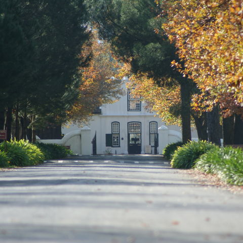 Kapholländisches Weingut, Südafrika