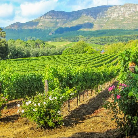 Garden Route Südafrika