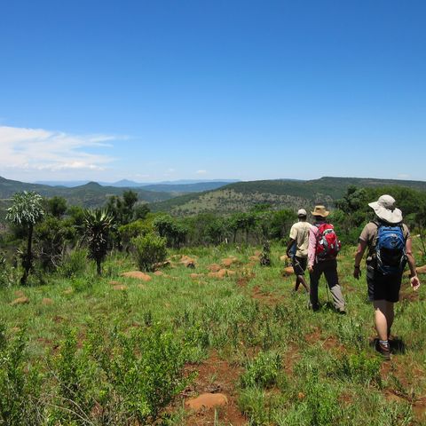 Wanderung durch die Schlachtfelder in Zululand, 