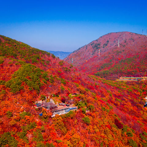 Beomeosa Tempel in der herbstlichen Umgebung von Busan, Südkorea