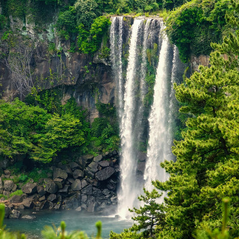 23 m hoch: Jeongbang Wasserfall, Jeju, Südkorea