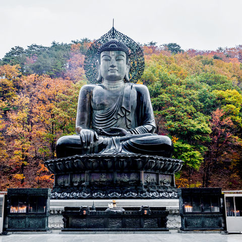 An den Hängen des Seoraksan Nationalparks: Buddha-Statue des Sinheungsa Tempels, Südkorea