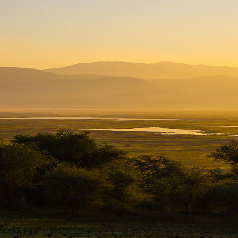 Sonnenaufgang am Ngorongoro Krater, Tansania