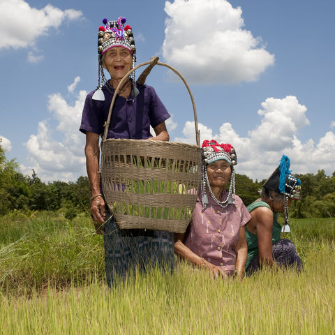 Farmerinnen vom Bergvolk der Akha, Thailand