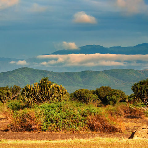 Landschaft des Queen Elizabeth Nationalparks @ Dmitry Pichugin, Dreamstime.com #TITEL 1: Einzigartiger Ausblick... #TITEL 2: Landschaft des Queen Elizabeth Nationalparks, Uganda