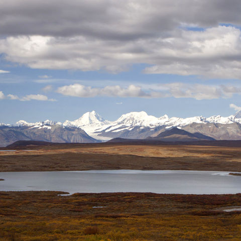 Wilde Berglandschaft entlang des Denali Highway, Alaska