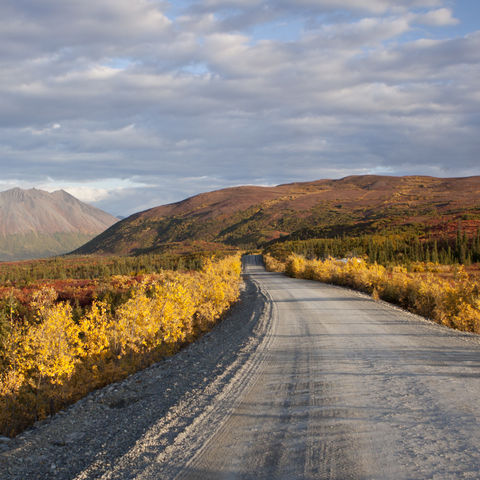 Weite Wildnis im Denali Nationalpark, Alaska