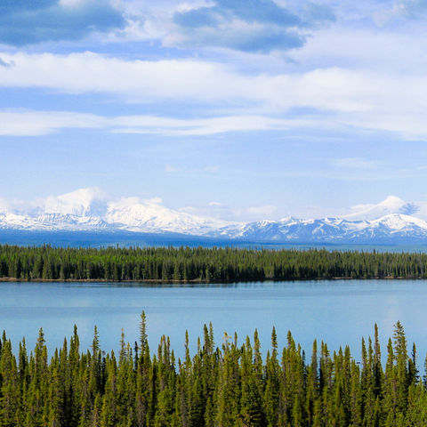Sicht auf den Wrangell St. Elias Nationalpark, Alaska