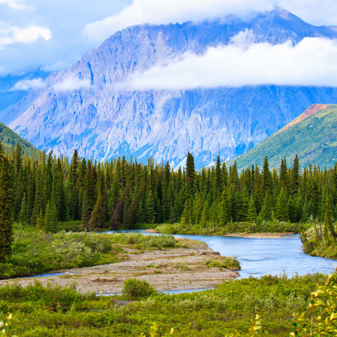 Sommerlandschaft des Denali-Nationalparks, Alaska