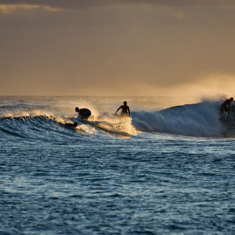 Beliebte Surfdestination: Wellenreiter im Pazifik, Hawaii