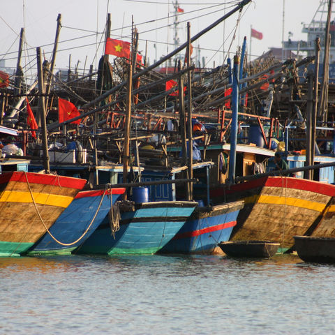 Farbenfrohe Fischerboote bei Danang, Vietnam