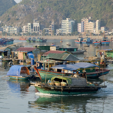 Hausboote in der Nähe der Cat Ba Insel, Vietnam