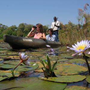 Mokoro-Safari im Okavangodelta © Jenman Safaris