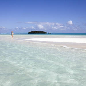 Tropisches Paradies © Steve Allen, Dreamstime.com Tropisches Paradies © Steve Allen, Dreamstime.com