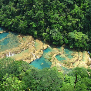 Türkisblaue Pools in Semuc Champey © Nivers, Dreamstime.com